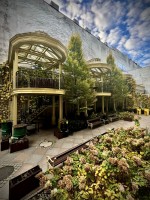 Fot. Marta Piotrowska