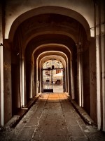 Fot. Marta Piotrowska