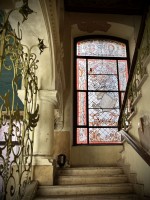 Fot. Marta Piotrowska