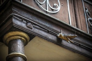 Fot. Marta Piotrowska